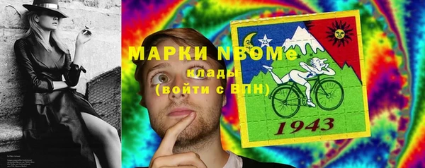 гидра Алексеевка