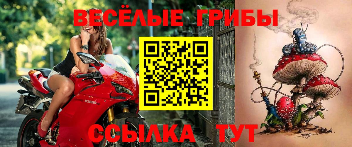Псилоцибиновые грибы GOLDEN TEACHER Еманжелинск